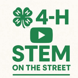 4-H STEM ON THE STREET